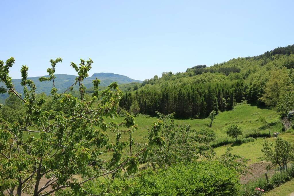 La Sala Vecchia - Lovely Tuscan Holiday House Badia Prataglia, Casentino Valley Chiusi della Verna Ngoại thất bức ảnh