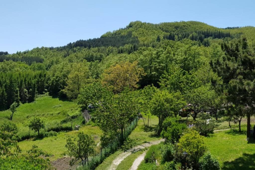 La Sala Vecchia - Lovely Tuscan Holiday House Badia Prataglia, Casentino Valley Chiusi della Verna Ngoại thất bức ảnh