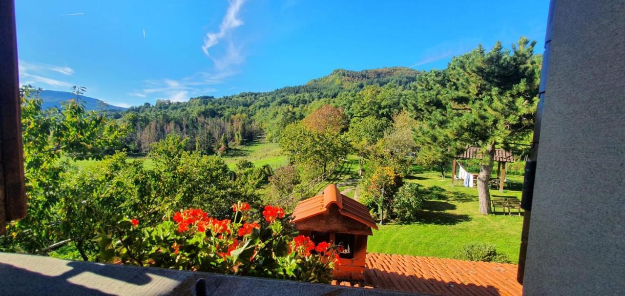 La Sala Vecchia - Lovely Tuscan Holiday House Badia Prataglia, Casentino Valley Chiusi della Verna Ngoại thất bức ảnh